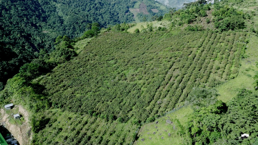 Agro farm landscape in Anjaw