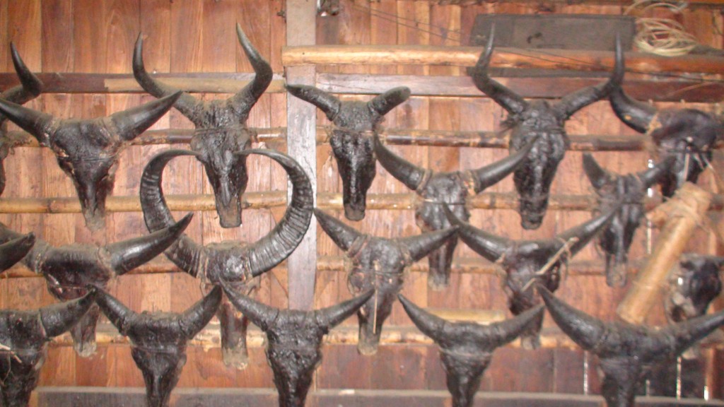 Traditional artifacts and cultural symbols