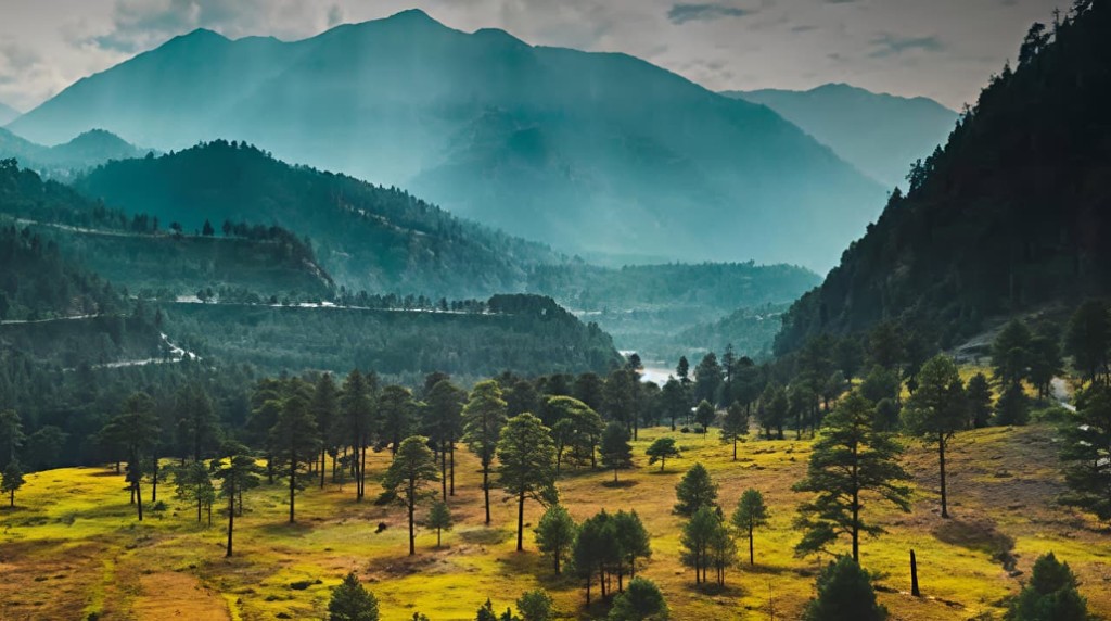 Namti Plains mountain view and meadow