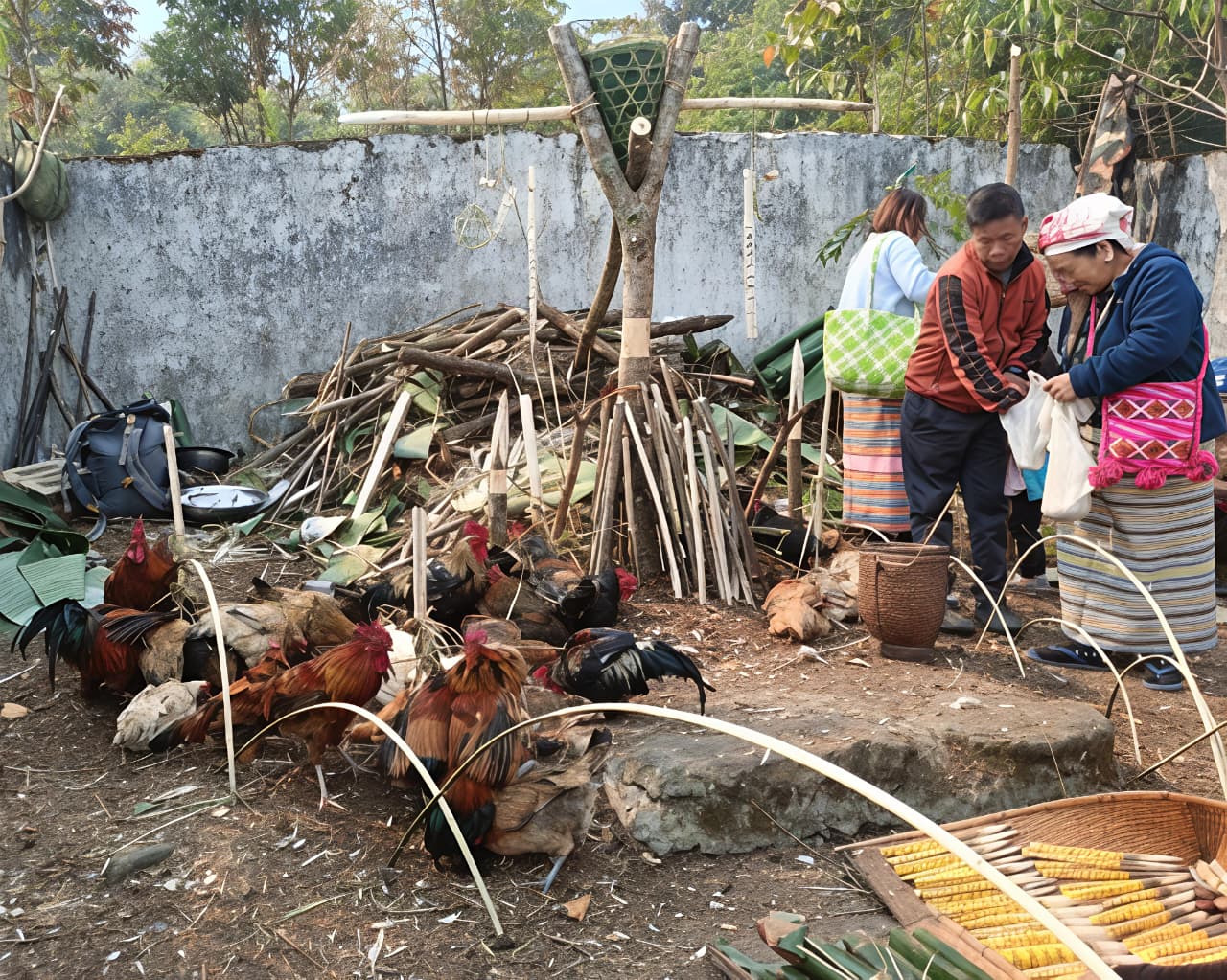 Festival scene at Tamladu